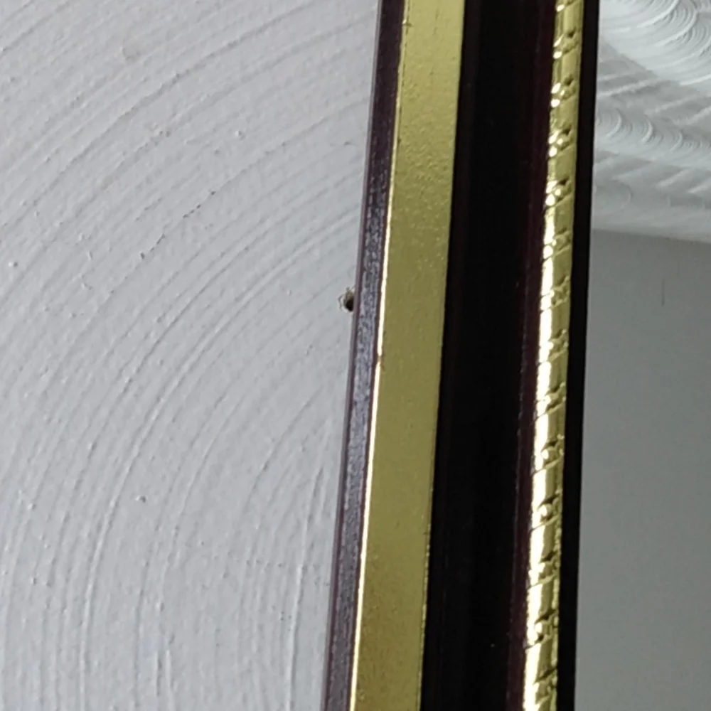Home Interiors Octagon Mahogany gold accents mirror